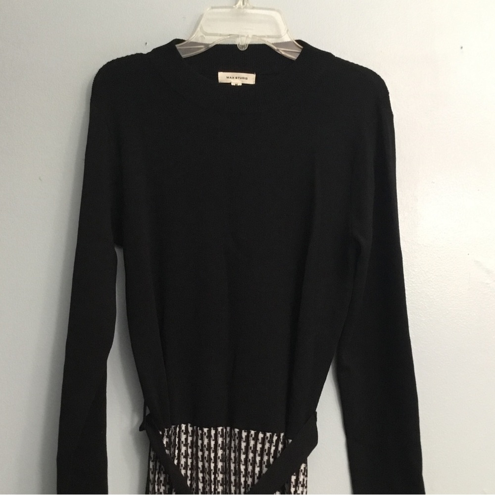 MAX STUDIO DRESS - Picture 15 of 16